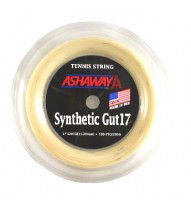 Synthetic Gut 17